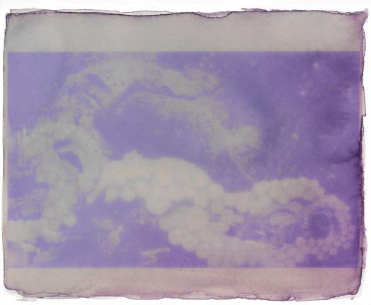 anthotype_poulpe_brest_geranium-noir_2_mail.jpg